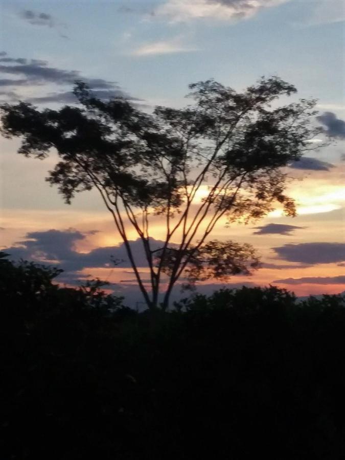 C&H Casa Campestre El Oasis Ricaurte Girardot Bed & Breakfast エクステリア 写真