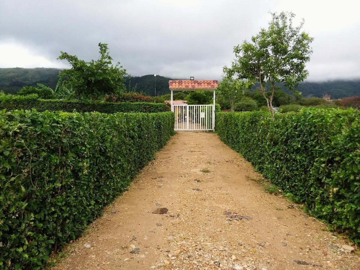 C&H Casa Campestre El Oasis Ricaurte Girardot Bed & Breakfast エクステリア 写真