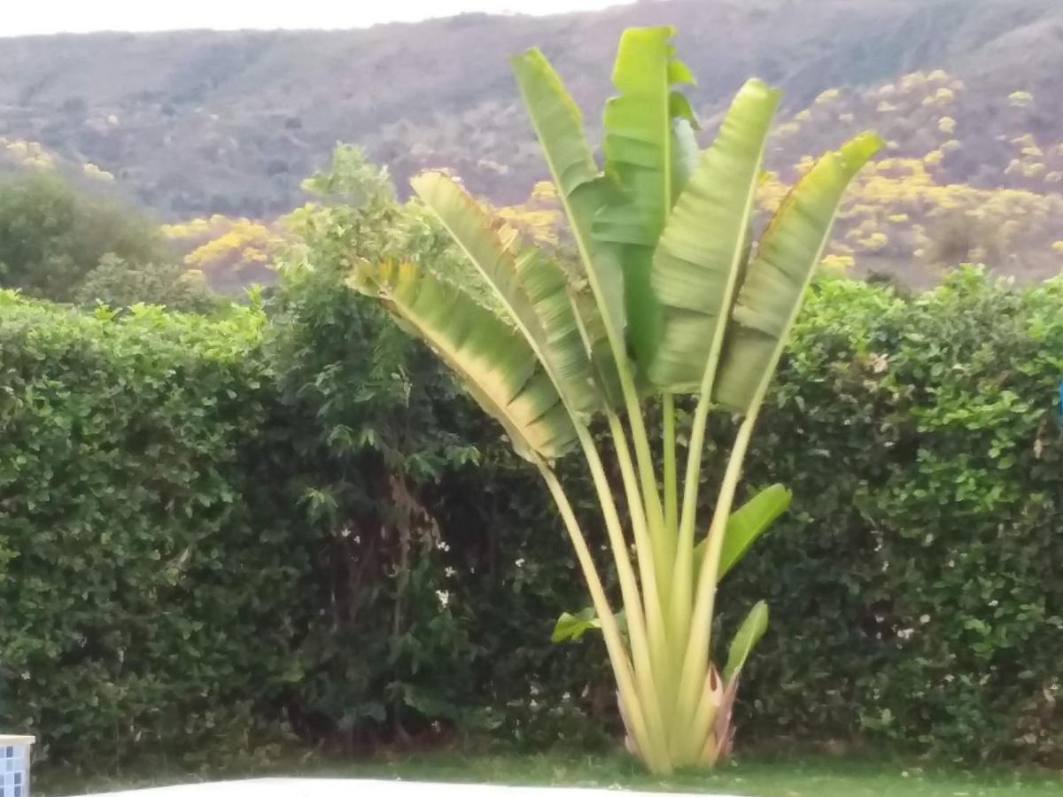 C&H Casa Campestre El Oasis Ricaurte Girardot Bed & Breakfast エクステリア 写真